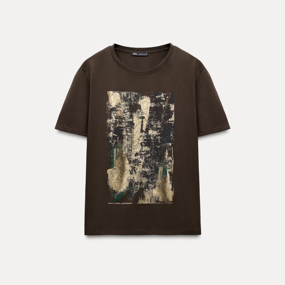 Zara metallic t shirt chocolate
